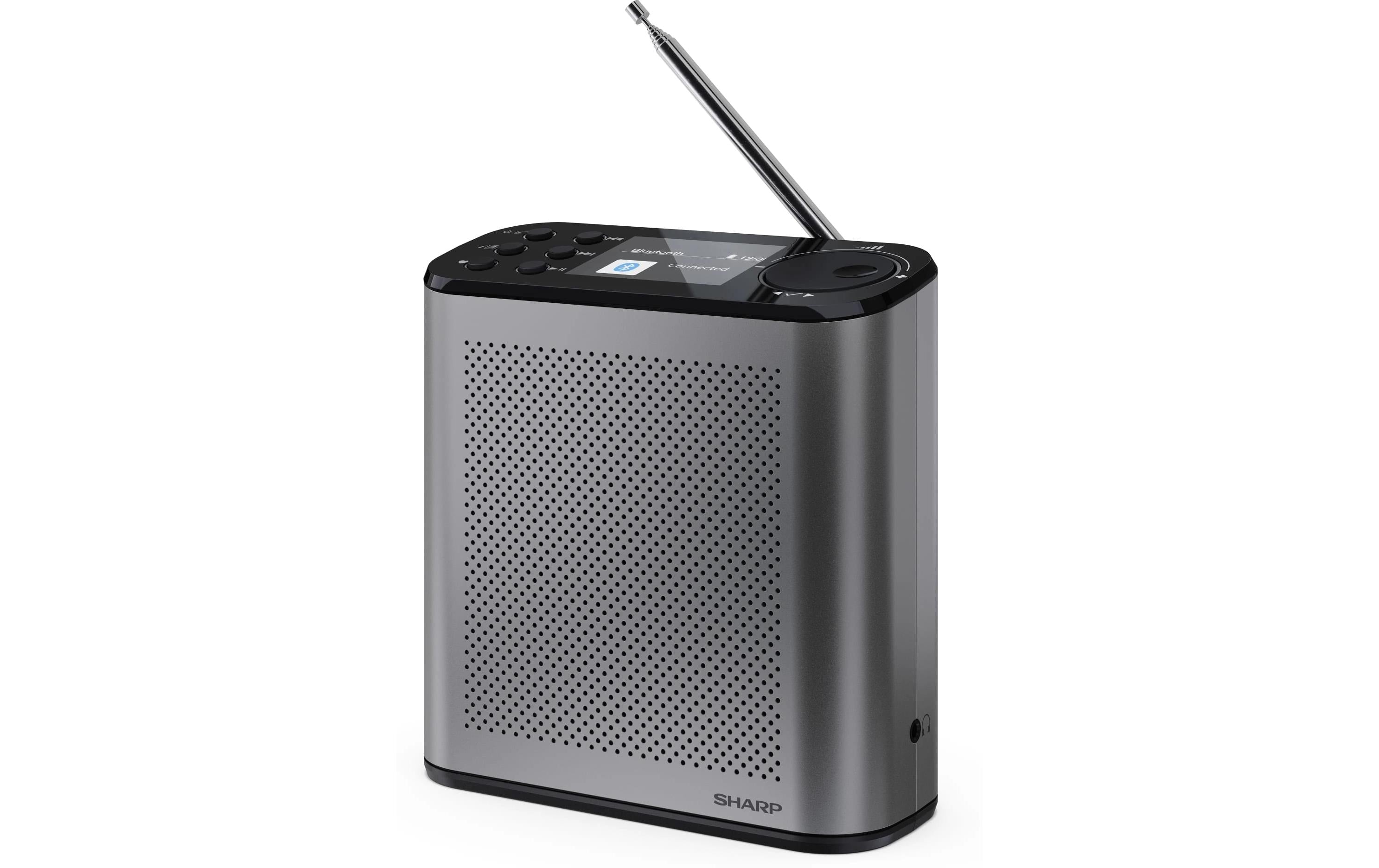 Sharp Digitalradio DR-P530 GR Portable Mono DAB+/FM + built-in Li bat.