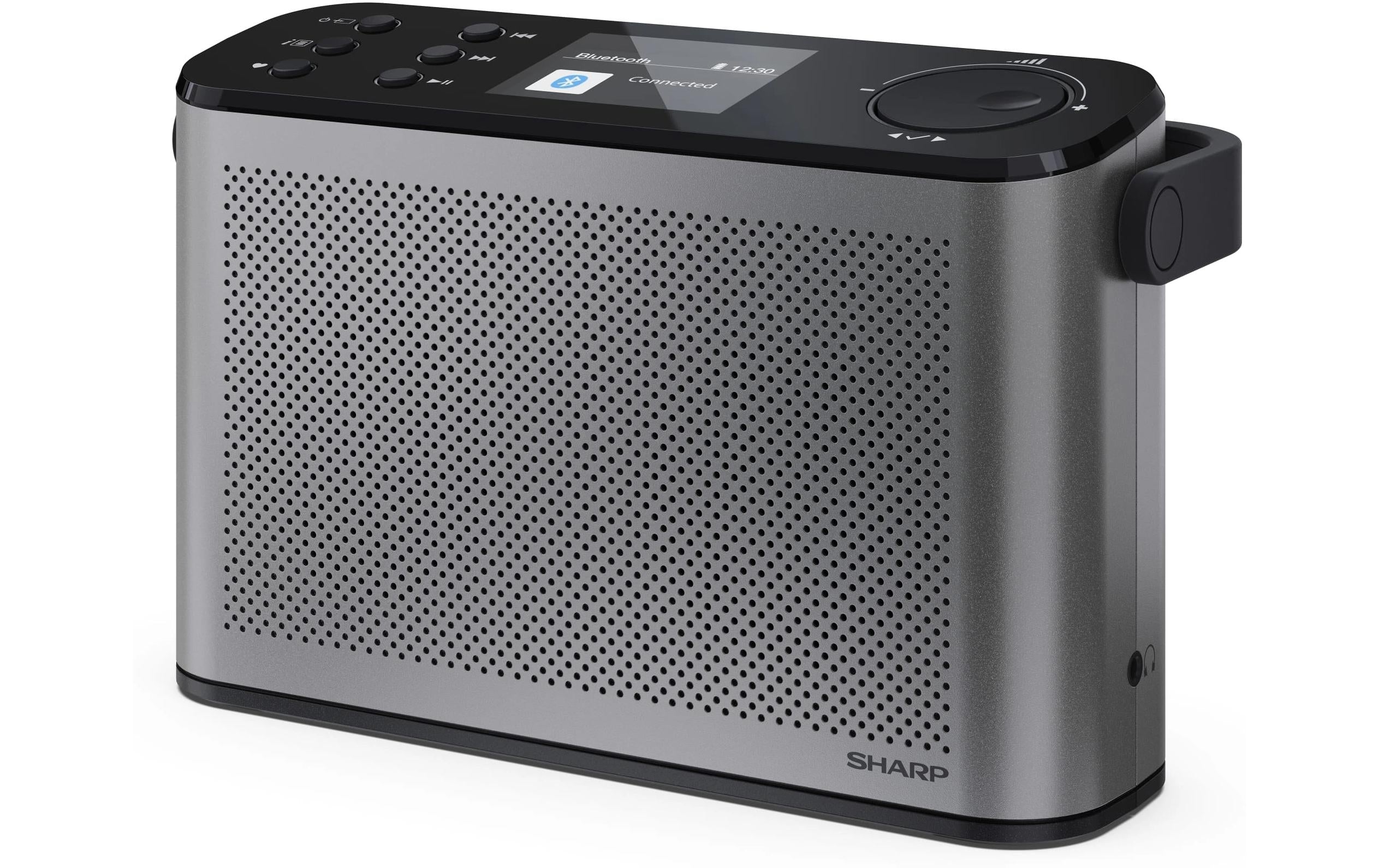 Sharp Digitalradio DR-P540 GR Portable Stereo DAB+/FM + built-in Li bat.