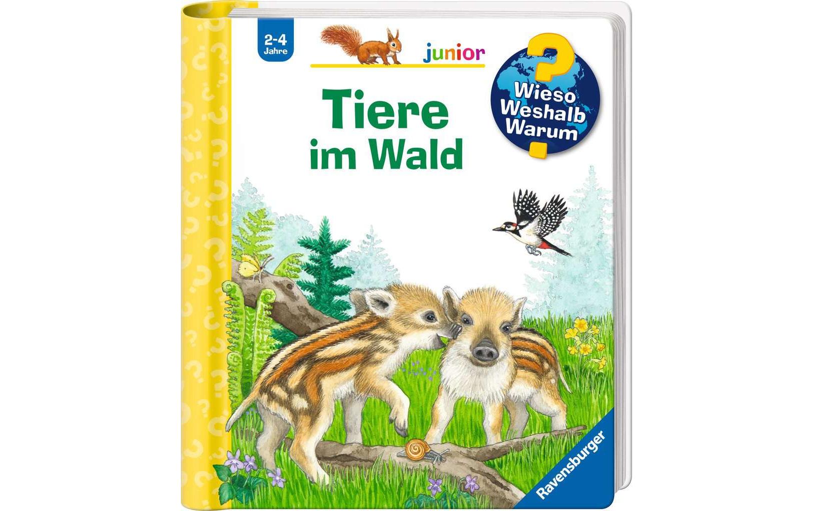 WWW junior: Tiere im Wald