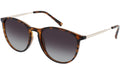 Sonnenbrille Hirzel Havana / Grün