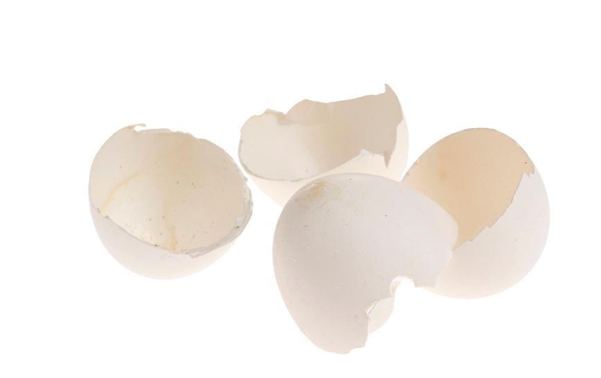 Opiflor Hühnereierschalen 200 g Natur-Weiss, echte Eier