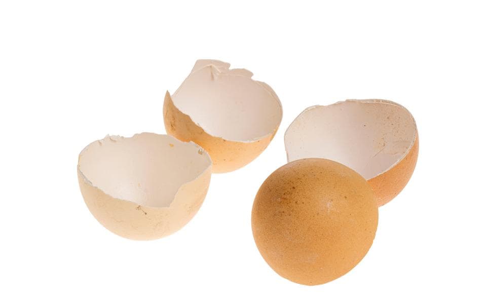 Opiflor Hühnereierschalen 200 g Natur-Braun, echte Eier