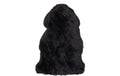 House Nordic Lammfell, Schwarz 50x85 cm, echtes Lammfell