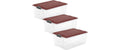 Rotho Set Box 38l COMPACT 3 tlg. 57 x 40 x 32