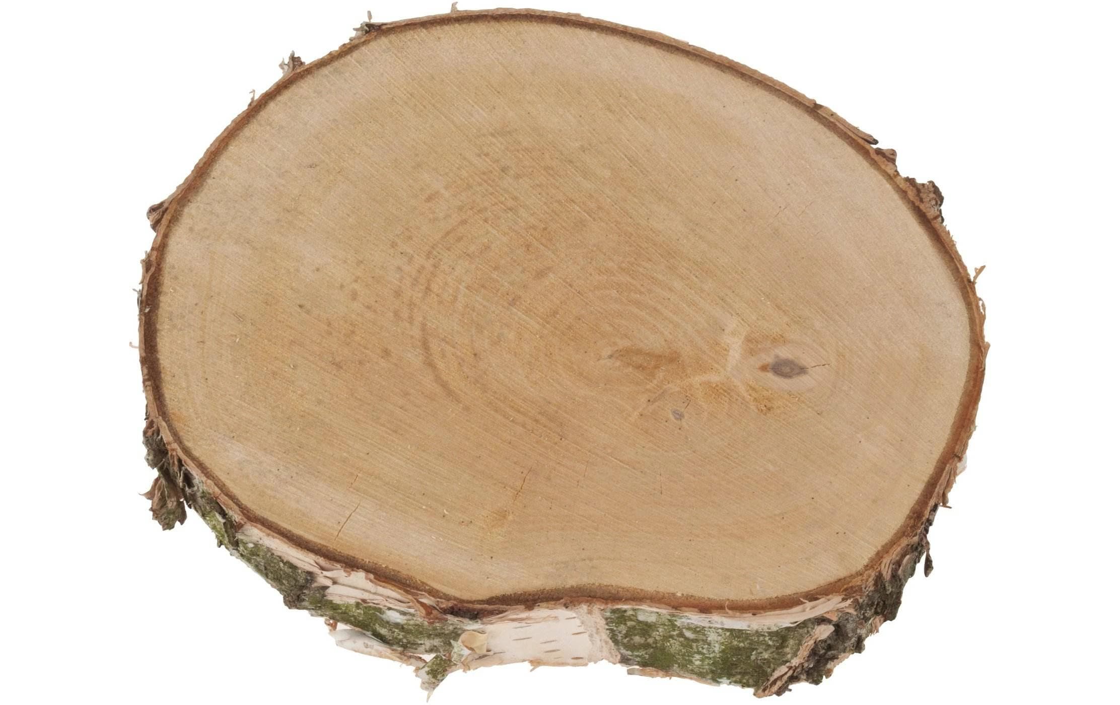 Opiflor Holzscheibe Birke rund 20-30x3.5 cm (DxH)