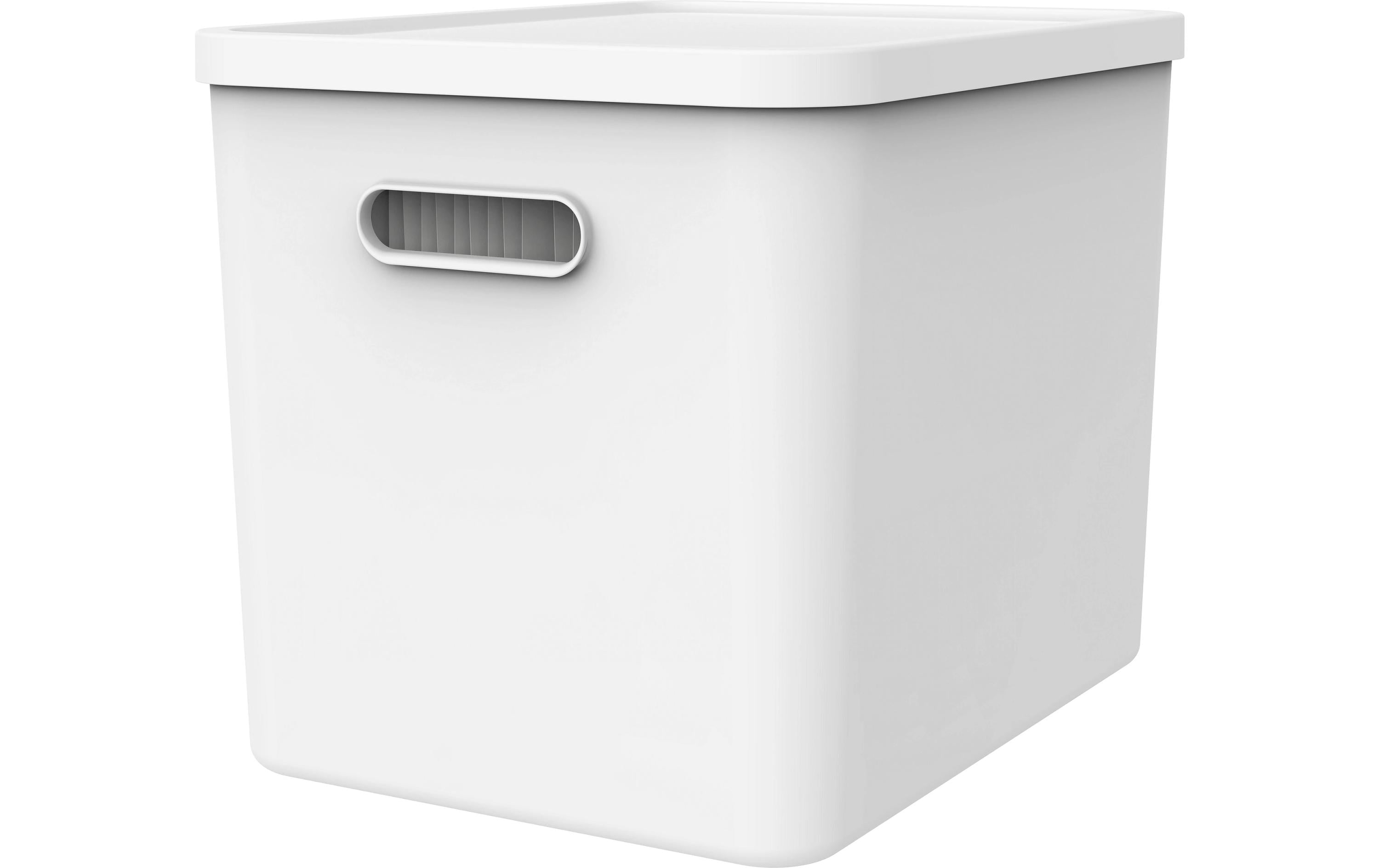 Rotho Archivbox MY PAPER Basic 37 x 29 x 29,5