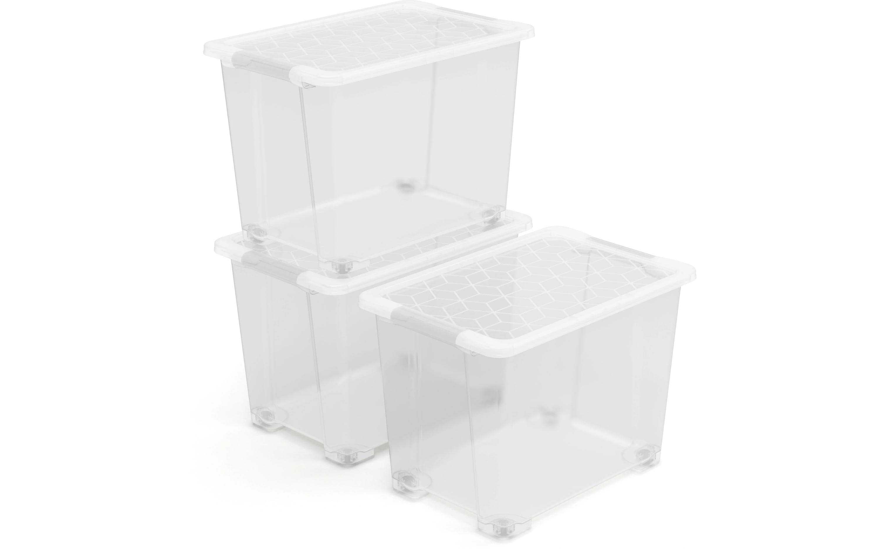 Rotho Set Box 65l EVO EASY 3 tlg. 58,5 x 39 x 50