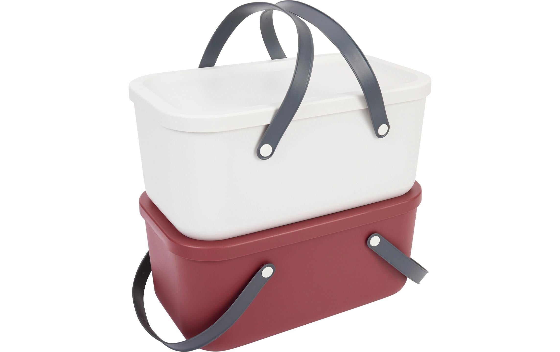 Rotho Set Tragekorb 12 l 2tlg RUMA 46,3 x 26,3 x 32,4