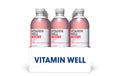 VITAMIN WELL BOOST 12x0.5L