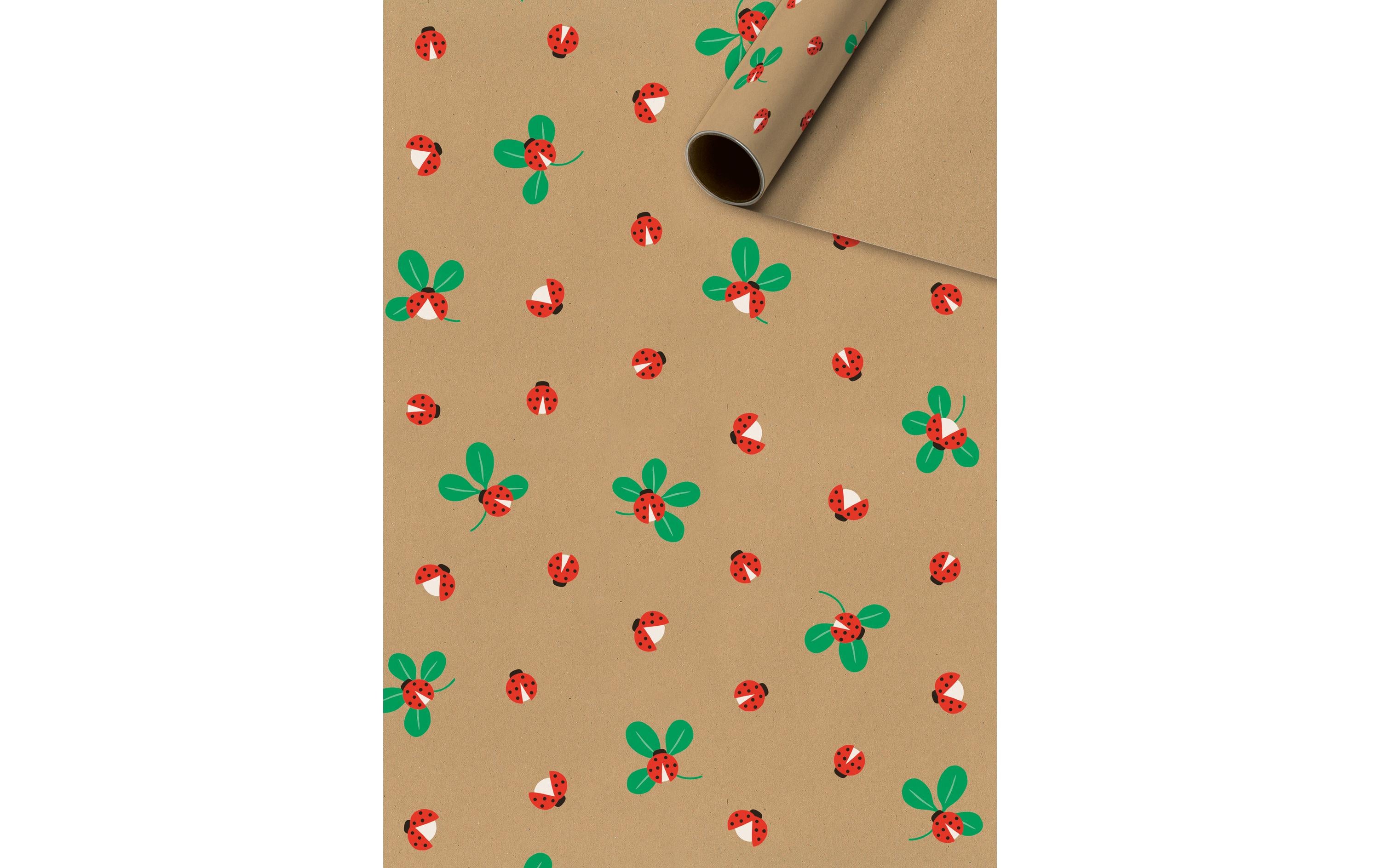 Stewo Geschenkpapier Adela 70x200cm
