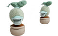 Disney Plants Donald, 20cm