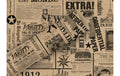 B+C Geschenkpapier 2mx70cm By Nature braun News schw.