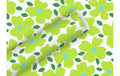 B+C Geschenkpapier 2mx70cm By Nature Poppy Pop