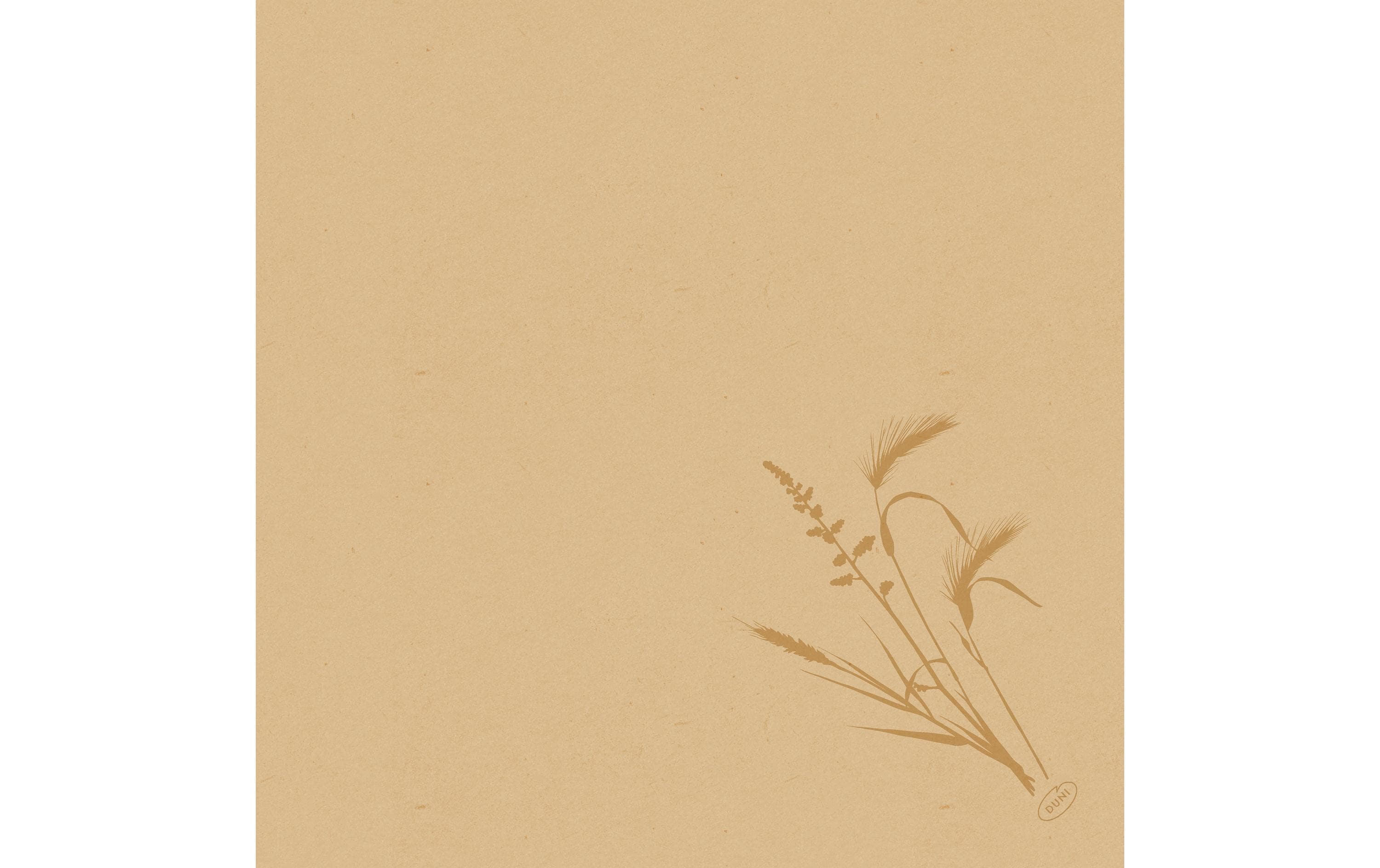 Duni Servietten Bio DSF Meadow natura 40x40cm, 60 Stk.