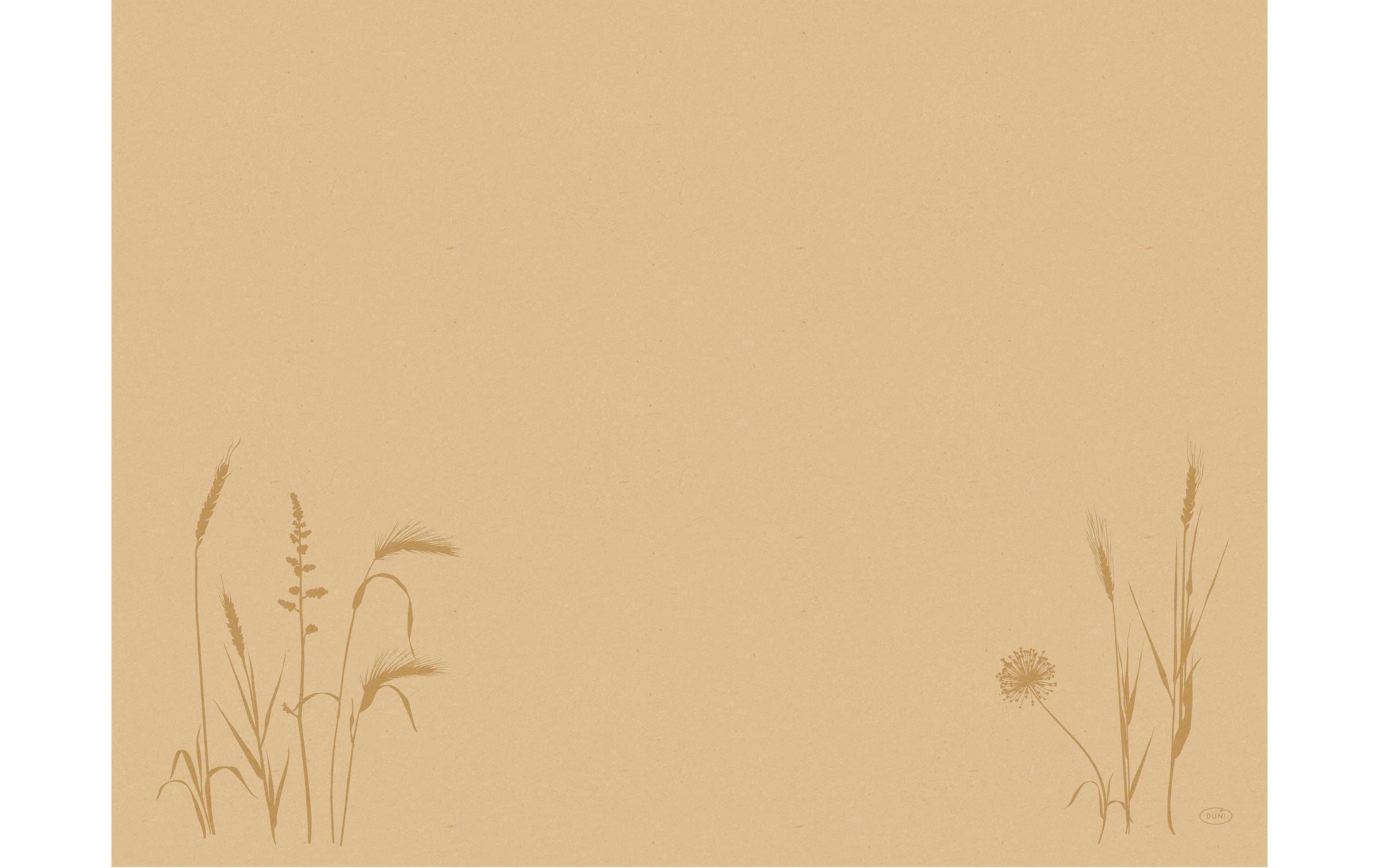 Duni Tischset Bio DC Meadow natura 30x40cm, 100 Stk.