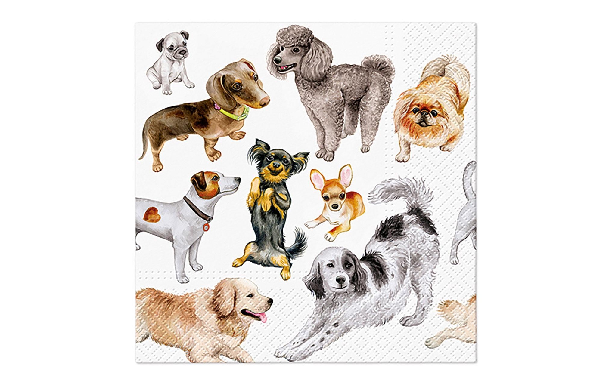 G. Wurm Serviette Hunde 33x33cm, 3-lagig, 20 Stück