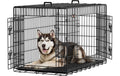 Feandrea Metallbox für Hunde 122.0x74.5x80.5cm