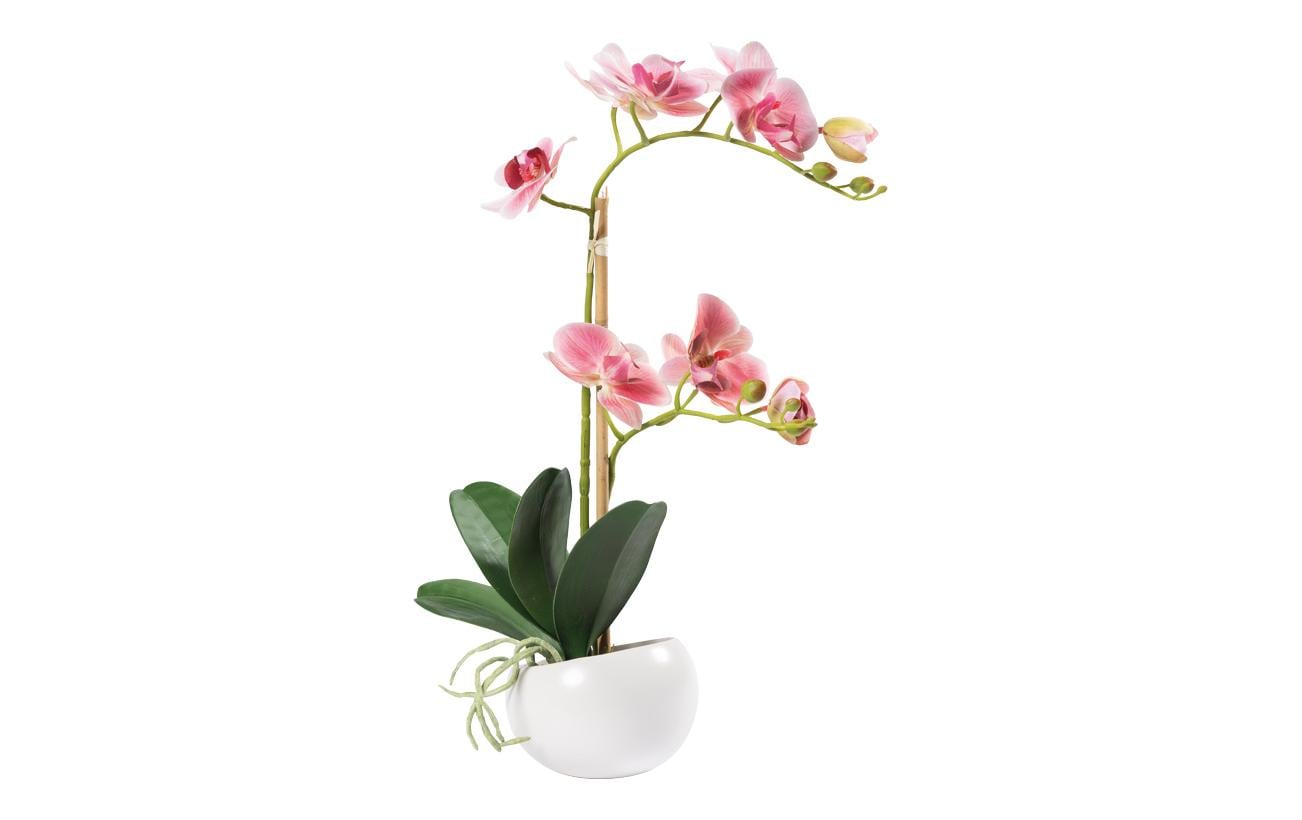 Dekomat Orchidee im Topf 48 cm, pink Kunstseide/Kunststoff, Topf: D: 10 cm