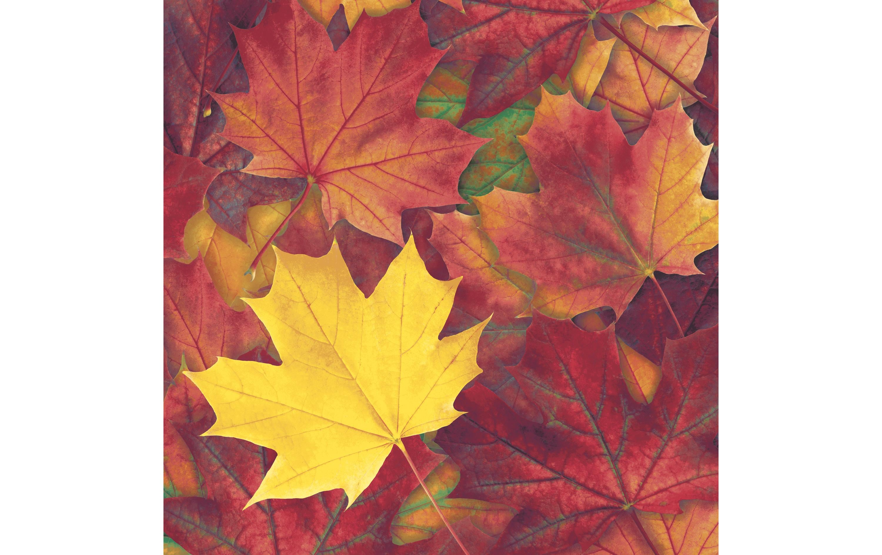 Paper + Design Servietten Herbstblätter 33x33cm, 20 Stück. 3-lagig