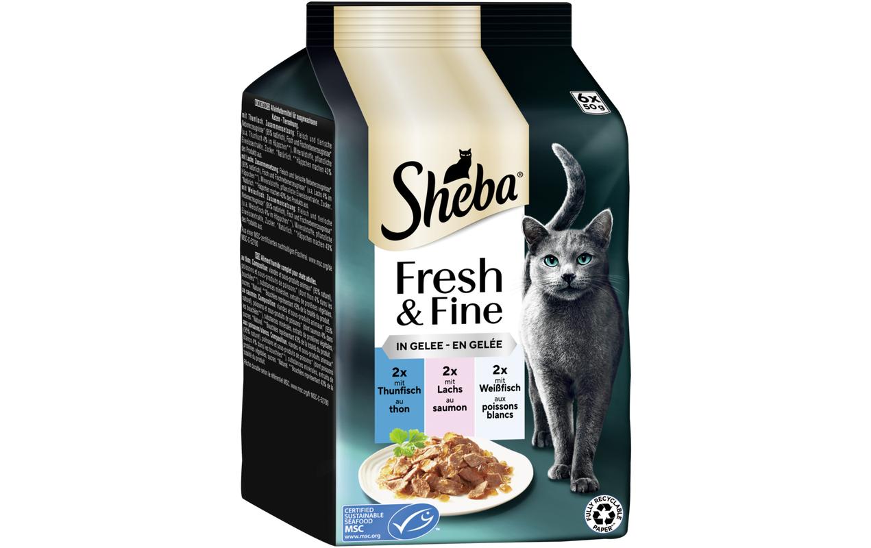 Sheba Fresh&Fine Gelee Thunf.,Lachs&Weissf. 6 x 50g