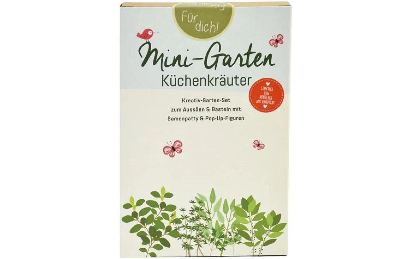 Wunderle Mini-Garten Küchenkräuter Kreativ-Garten-Set