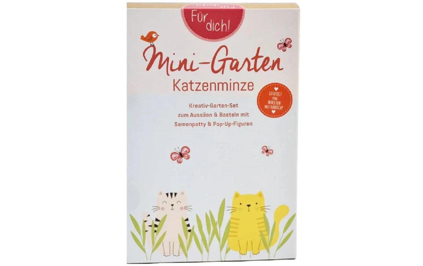 Wunderle Mini-Garten Katzenminze Kreativ-Garten-Set