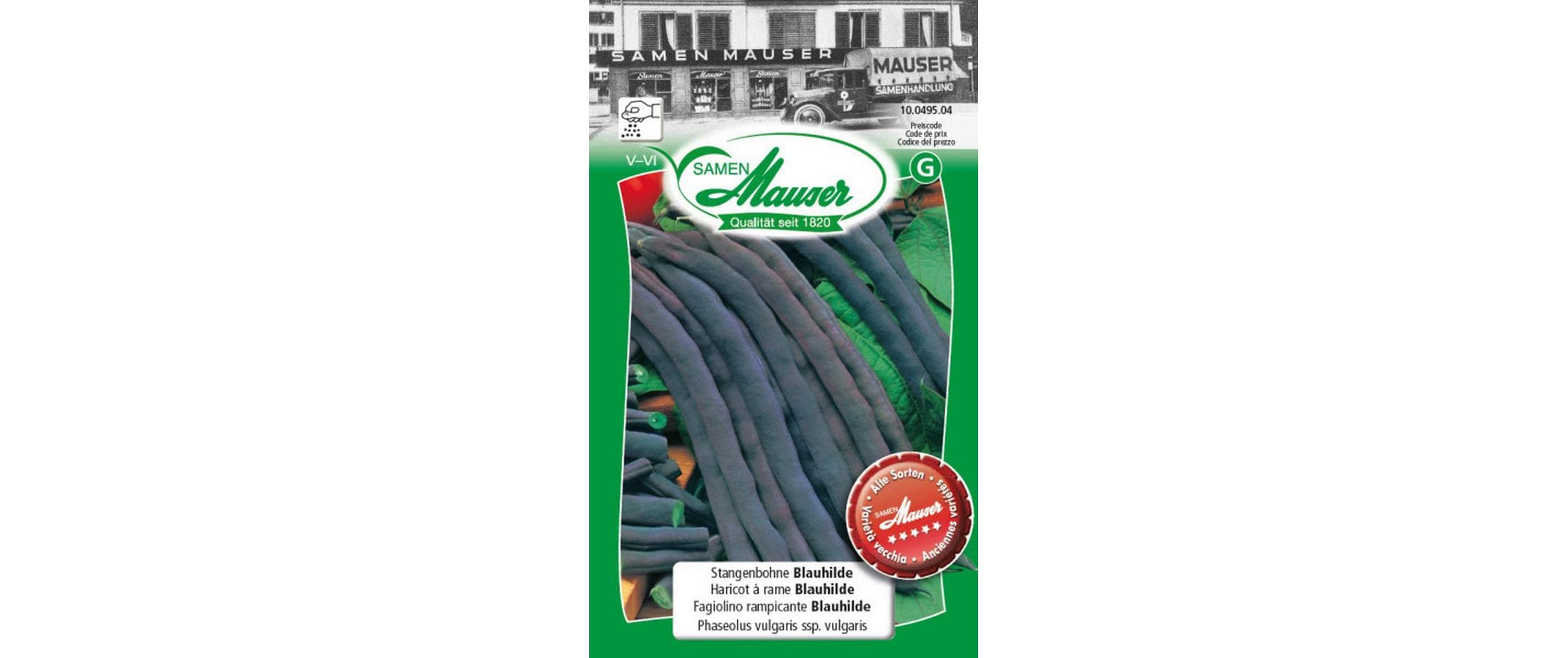 Stangenbohne Blauhilde