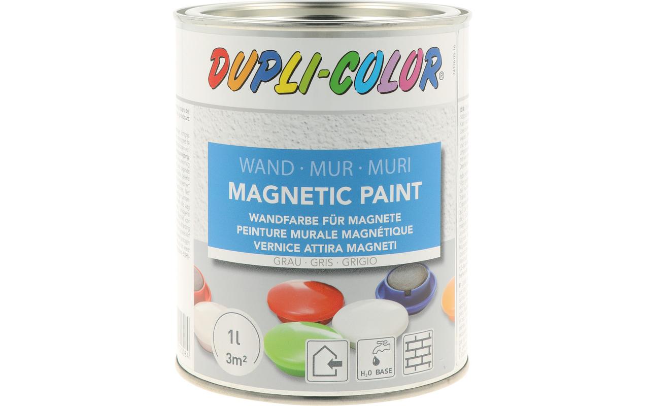 DUPLI-COLOR Magnetfarbe hellgrau 1.0 L