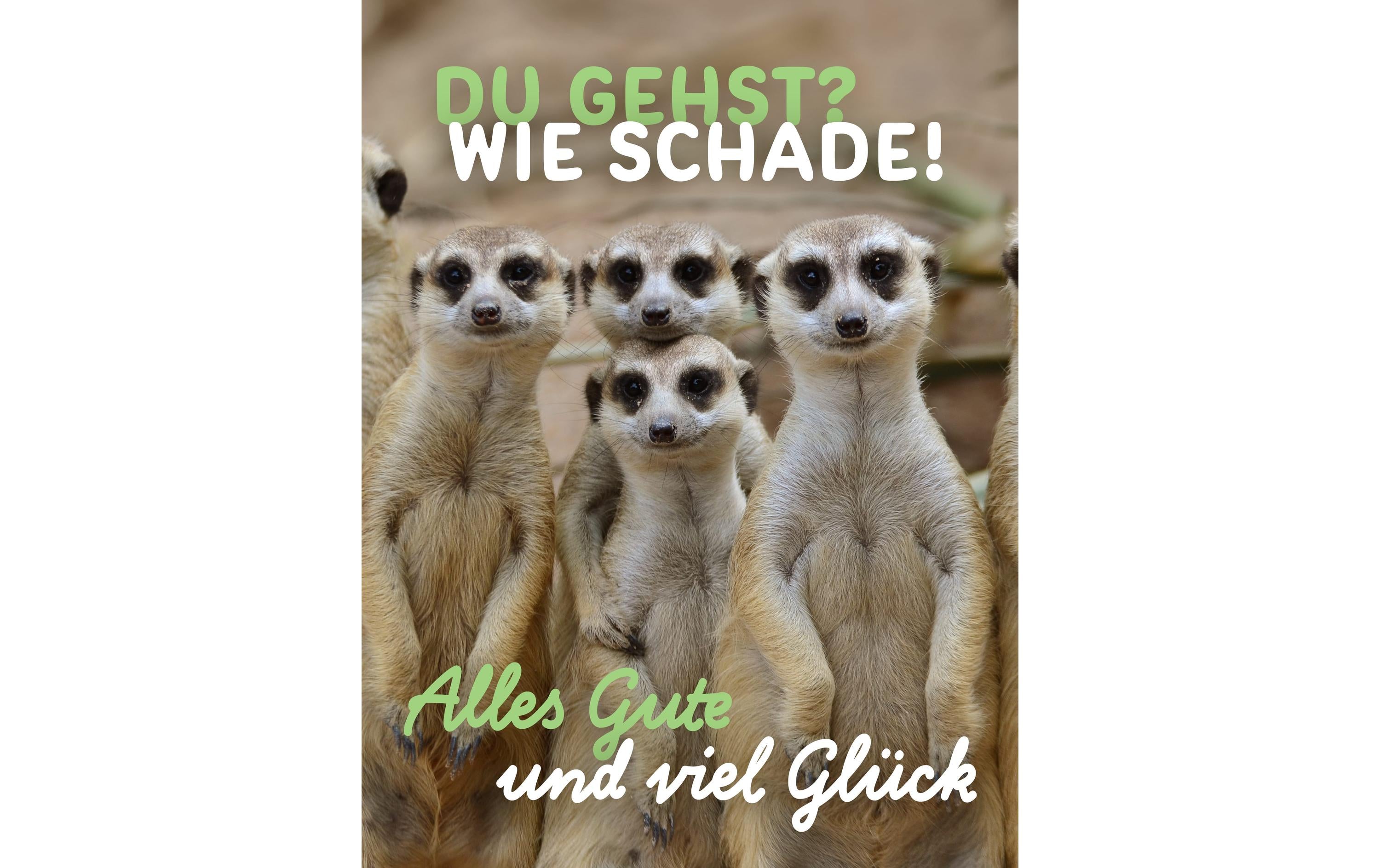 Cart Glückwunschkarte zum Abschied Format A4 (21 x 29.7 cm)