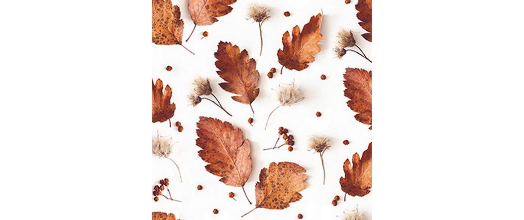 B+C Servietten Soft Autumn Grösse 33x33cm, 20 Stück, 3lagig