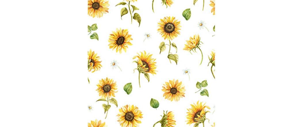 B+C Servietten Sunflower blanc de blanc Grösse 33x33cm, 20 Stück, 3-lagig