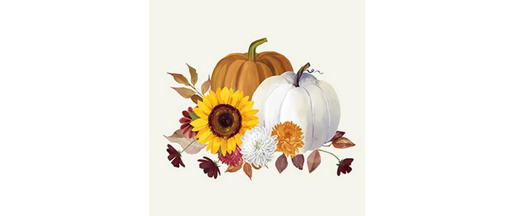 B+C Servietten Pumpkin blanc de blanc Grösse 33x33cm, 20 Stück, 3-lagig