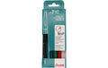 Pentel Brush Sign Pen, Faserschreiber 4er Set