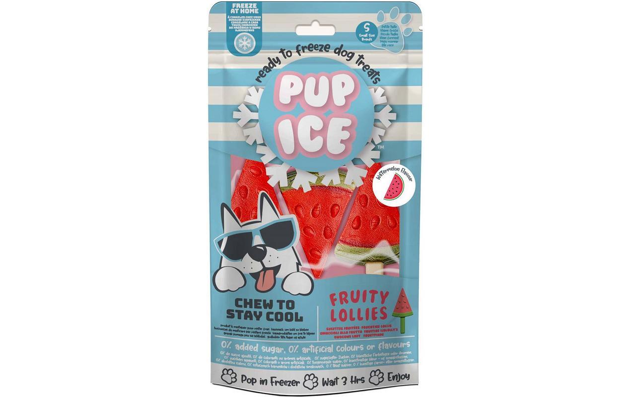 Pup Ice Fruity Lollies Melone 3 Stück, 90g