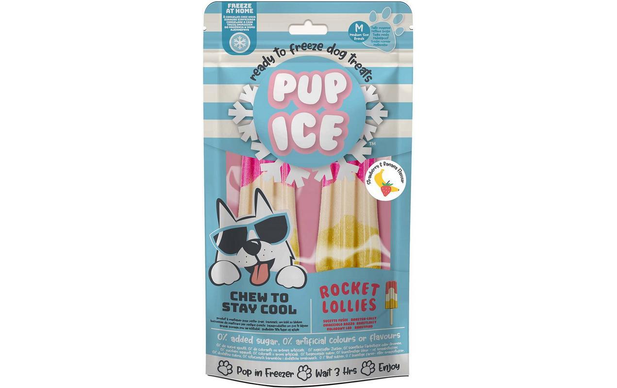 Pup Ice Rocket Lollies Erdbeer-Heidelbeere 2 Stück, 90g