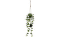 Star Trading künstliche Pflanze Laos 60cm LED Warmweiss, Timer, exkl. 3x AA Batterie