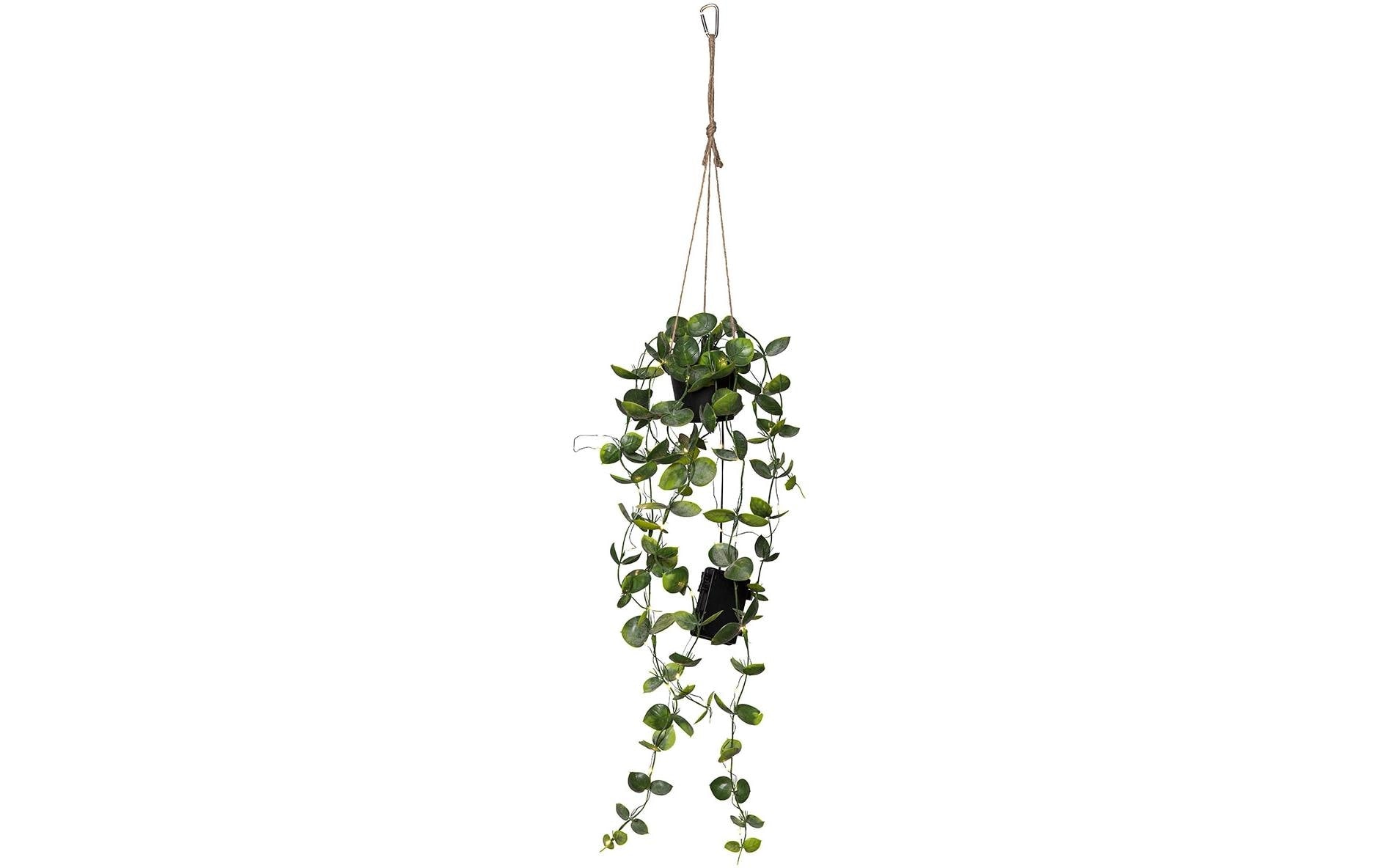 Star Trading künstliche Pflanze Laos 60cm LED Warmweiss, Timer, exkl. 3x AA Batterie