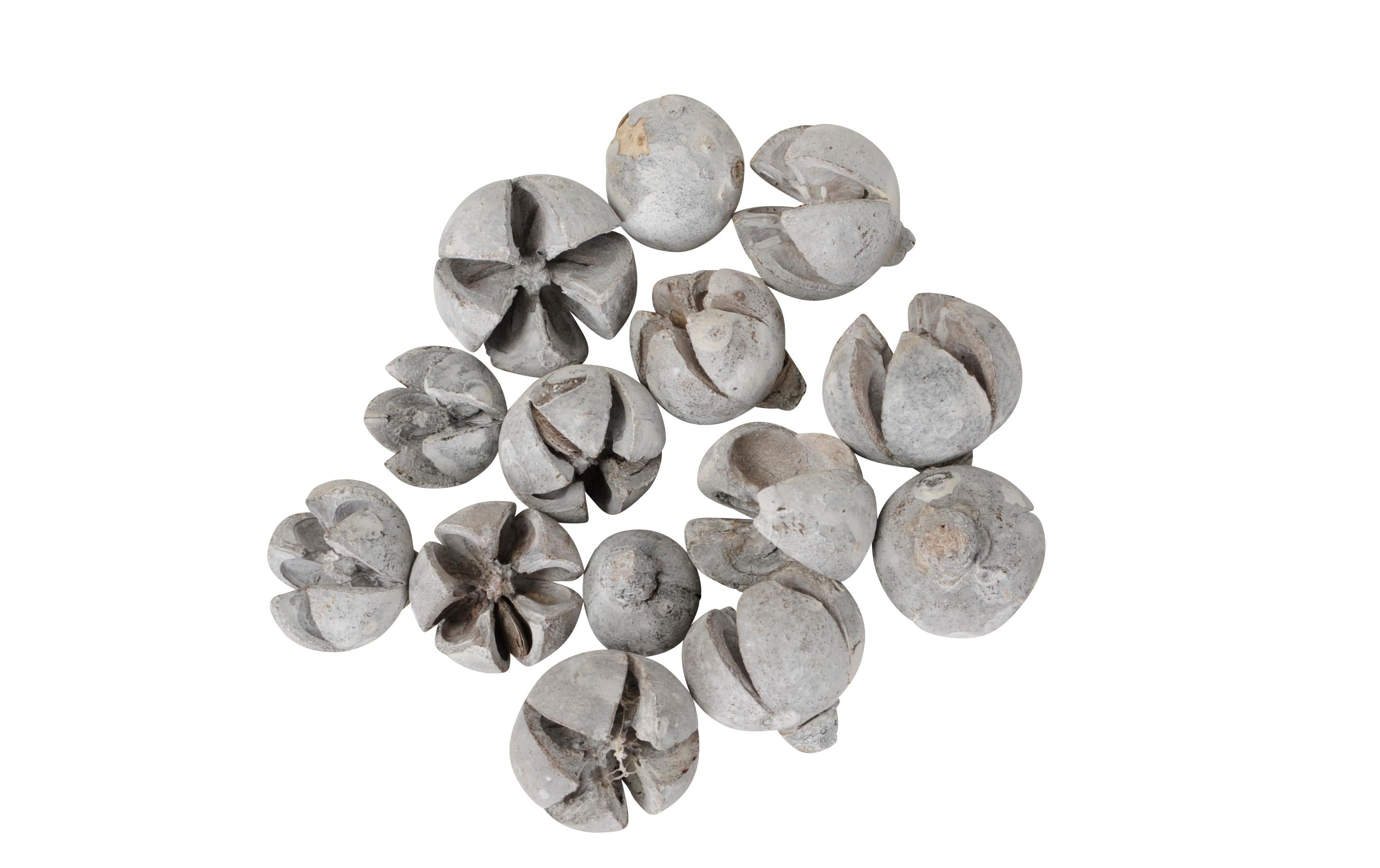 COCON Fruchtkapsel, Netz à 200g Grösse ca. 2-3cm, weiss, Feuerdorn