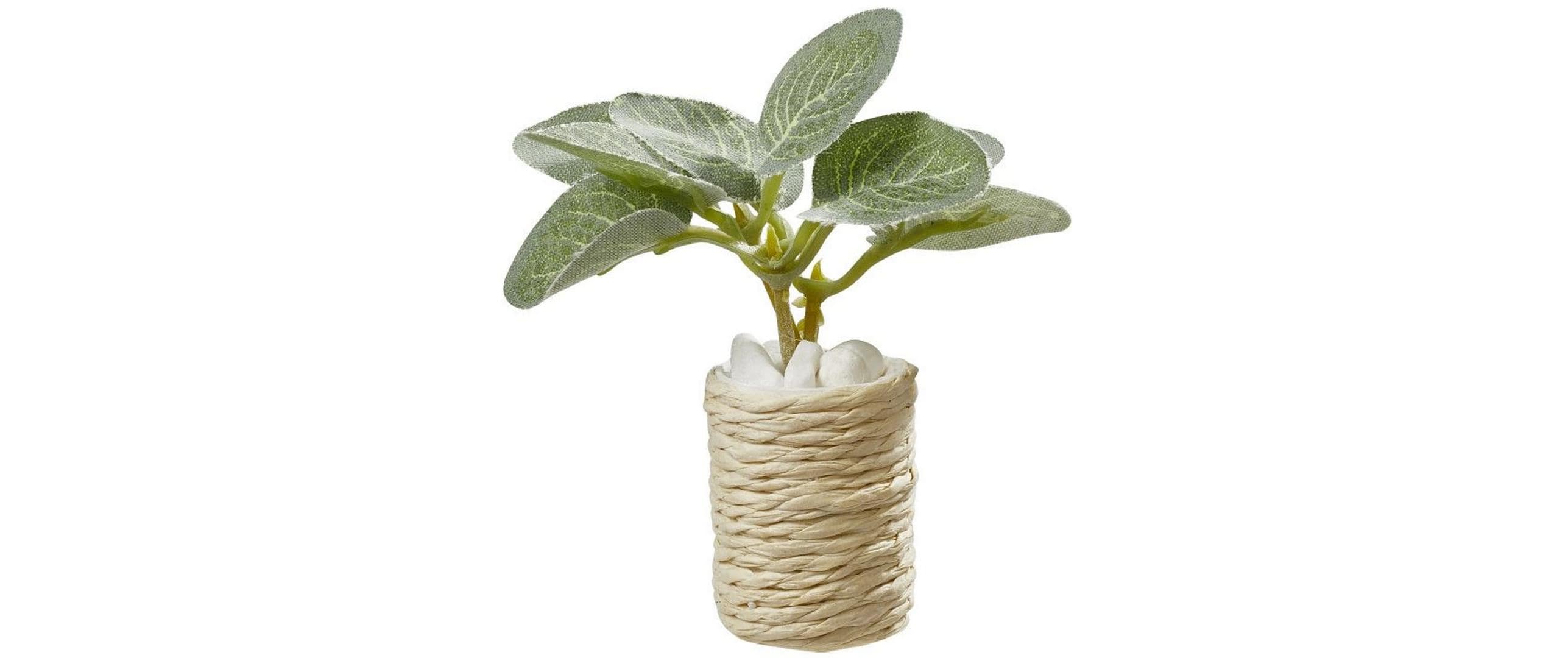 Hobbyfun Mini-Figur Zimmerpflanze 5.5 cm, 1 Stk