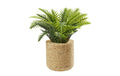 Hobbyfun Mini-Figur Palm-Pflanze 6.5 cm, 1 Stk