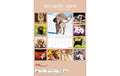 Bildkalender Welpen 2026 23.7 x 34 cm