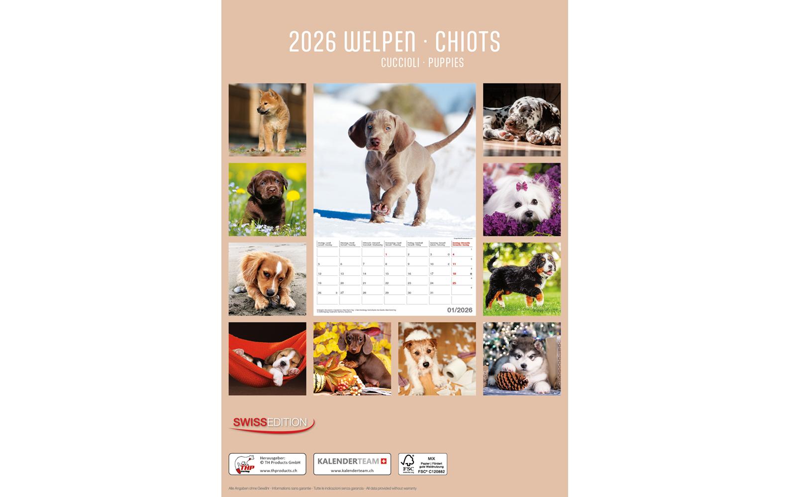 Bildkalender Welpen 2026 23.7 x 34 cm