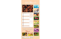 Kalender für 2 Premium Moments 2026 24.5 x 51.5 cm