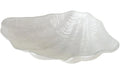 Boltze Schale Venus Weiss