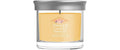 Yankee Candle  Slopeside Spritz Small Tumbler