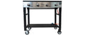 BBQ Gastrogrill Pro