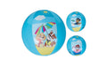 Paw Patrol Wasserball 29cm