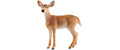Schleich Weisswedelkuh Wild Life