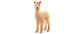Schleich Lama Einhorn Baby bayala
