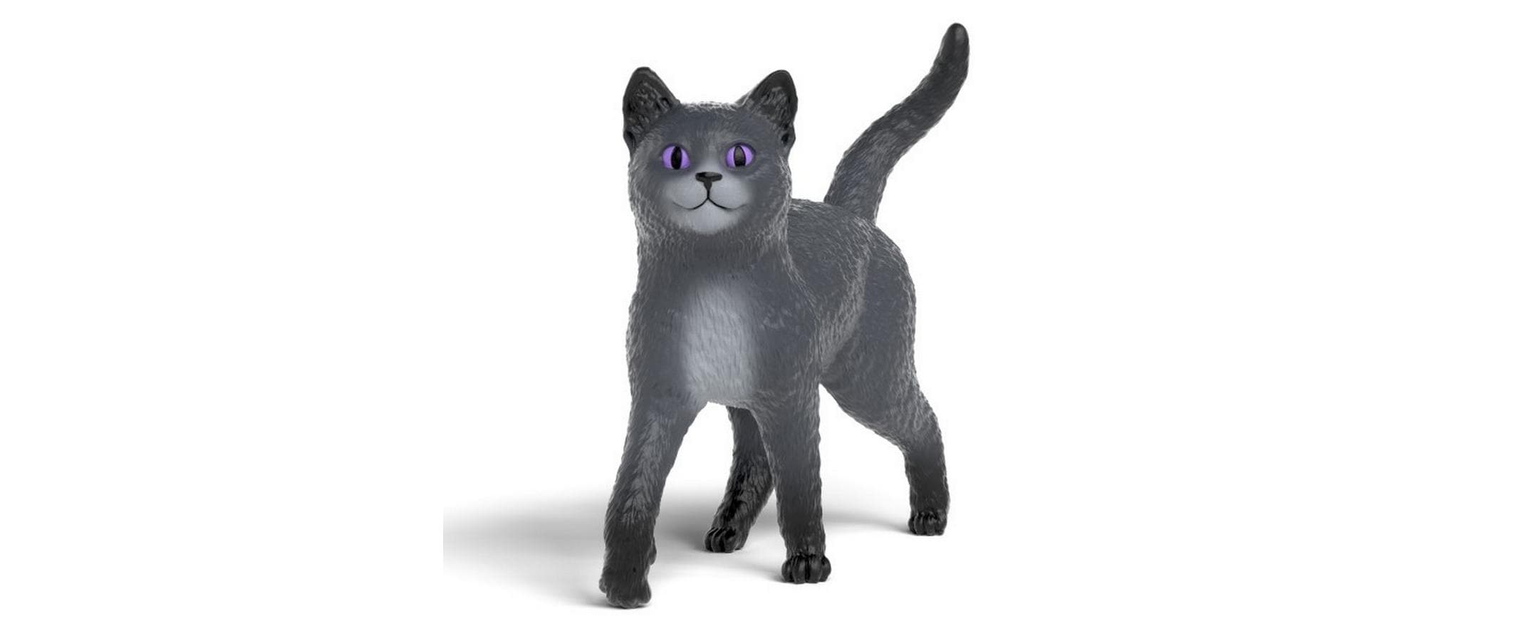 Kater SDMT